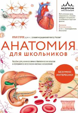 Анатомия для школьников